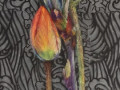 flowers-on-black
